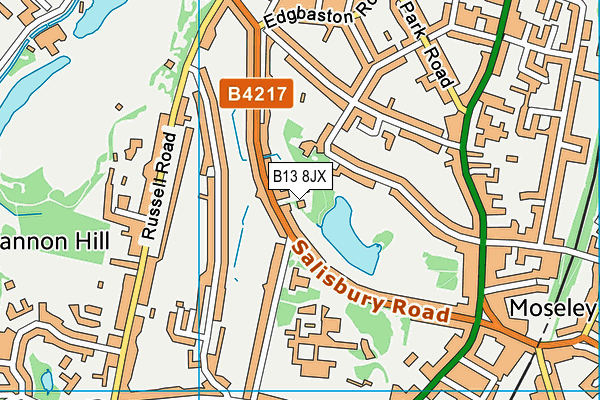 B13 8JX map - OS VectorMap District (Ordnance Survey)