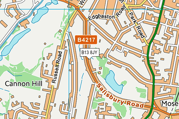 B13 8JY map - OS VectorMap District (Ordnance Survey)