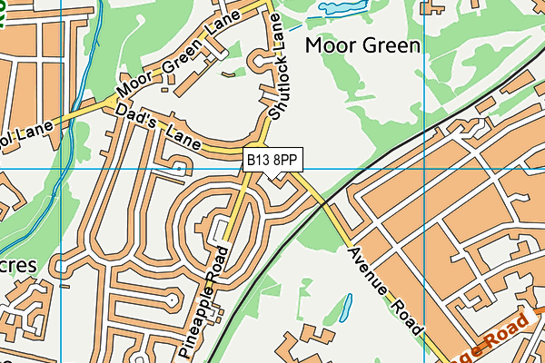 B13 8PP map - OS VectorMap District (Ordnance Survey)