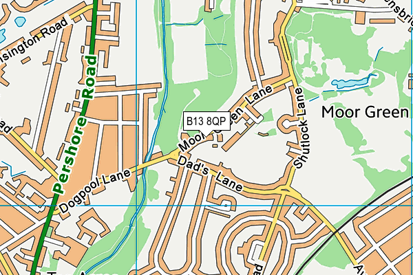Moor Green Primary Academy map (B13 8QP) - OS VectorMap District (Ordnance Survey)
