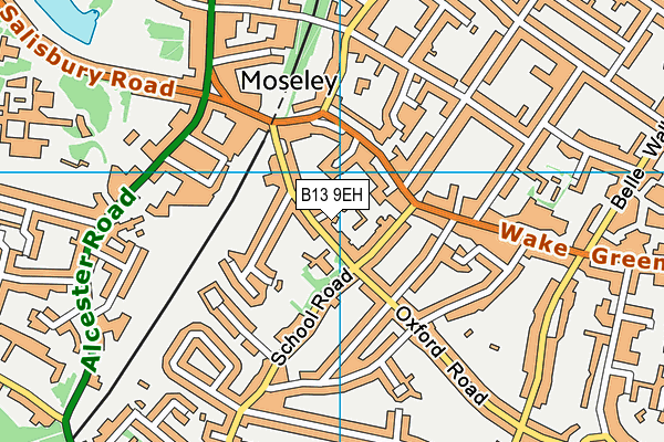 Moseley Church of England Primary School map (B13 9EH) - OS VectorMap District (Ordnance Survey)