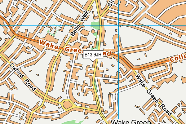 B13 9JH map - OS VectorMap District (Ordnance Survey)