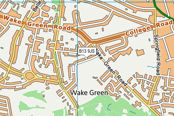 B13 9JS map - OS VectorMap District (Ordnance Survey)