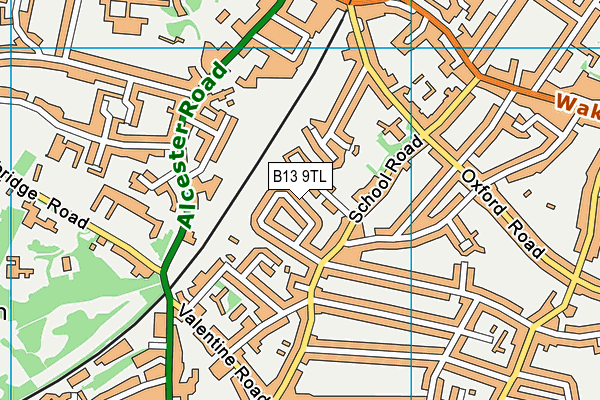 B13 9TL map - OS VectorMap District (Ordnance Survey)