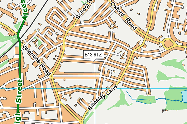 B13 9TZ map - OS VectorMap District (Ordnance Survey)