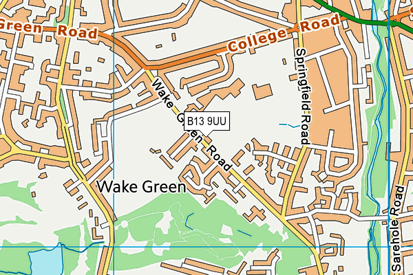 Moseley School and Sixth Form map (B13 9UU) - OS VectorMap District (Ordnance Survey)