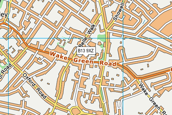 B13 9XZ map - OS VectorMap District (Ordnance Survey)
