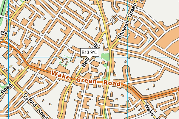 B13 9YJ map - OS VectorMap District (Ordnance Survey)