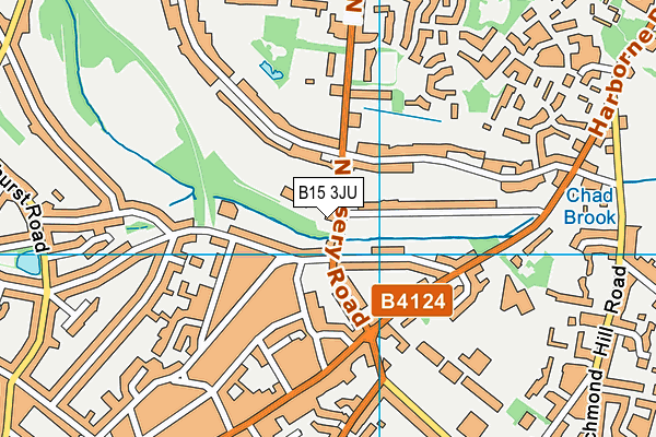 Chad Vale Primary School map (B15 3JU) - OS VectorMap District (Ordnance Survey)
