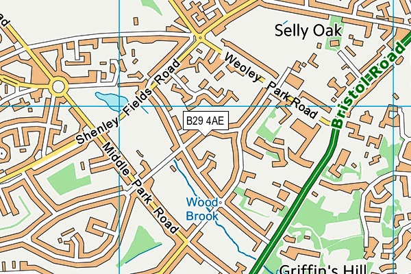 B29 4AE map - OS VectorMap District (Ordnance Survey)