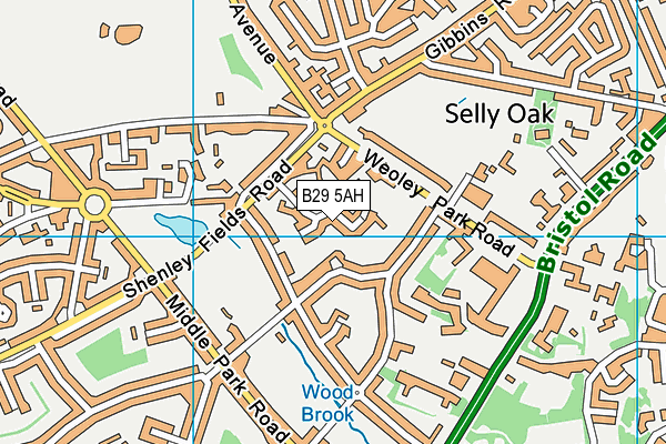 B29 5AH map - OS VectorMap District (Ordnance Survey)