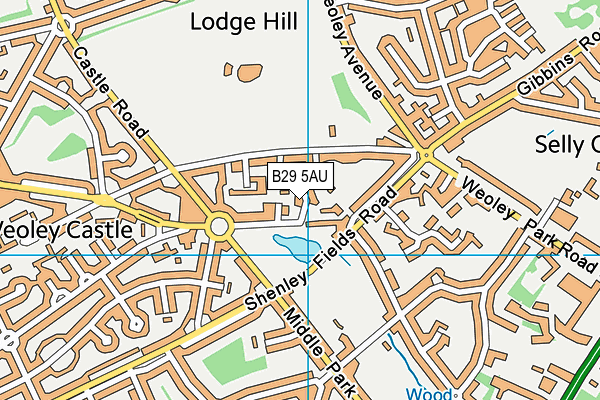 B29 5AU map - OS VectorMap District (Ordnance Survey)