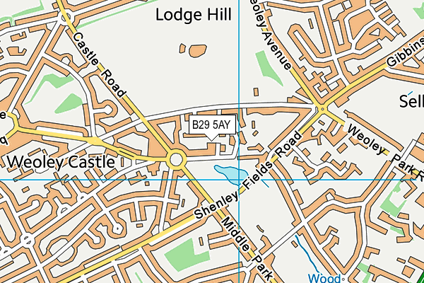 B29 5AY map - OS VectorMap District (Ordnance Survey)