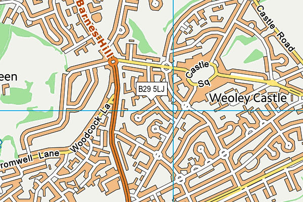 B29 5LJ map - OS VectorMap District (Ordnance Survey)