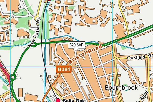B29 6AP map - OS VectorMap District (Ordnance Survey)