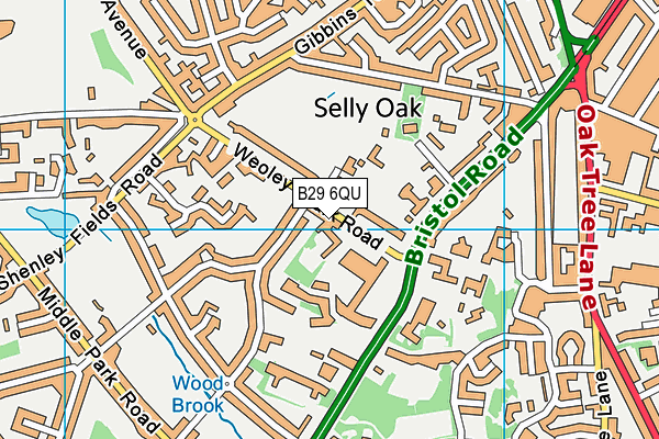 University Of Birmingham School map (B29 6QU) - OS VectorMap District (Ordnance Survey)