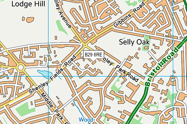 B29 6RE map - OS VectorMap District (Ordnance Survey)