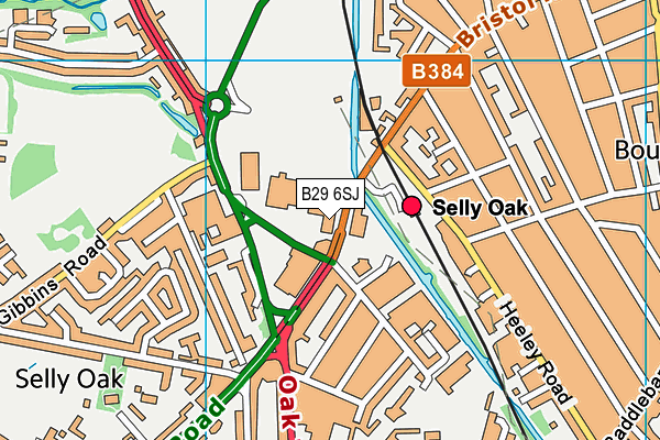 The Gym Group (Birmingham Selly Oak) map (B29 6SJ) - OS VectorMap District (Ordnance Survey)