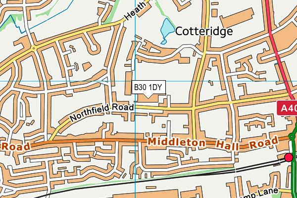 Kings Norton Boys School map (B30 1DY) - OS VectorMap District (Ordnance Survey)