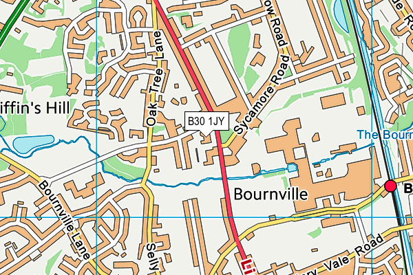 Bournville Village Primary map (B30 1JY) - OS VectorMap District (Ordnance Survey)