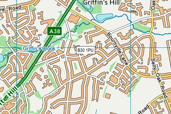 B30 1PU map - OS VectorMap District (Ordnance Survey)