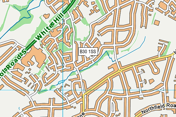 B30 1SS map - OS VectorMap District (Ordnance Survey)