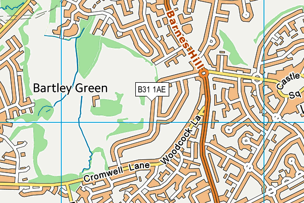 B31 1AE map - OS VectorMap District (Ordnance Survey)