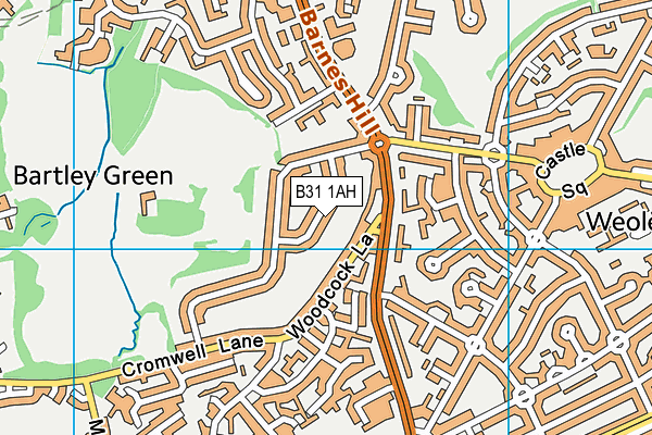 B31 1AH map - OS VectorMap District (Ordnance Survey)