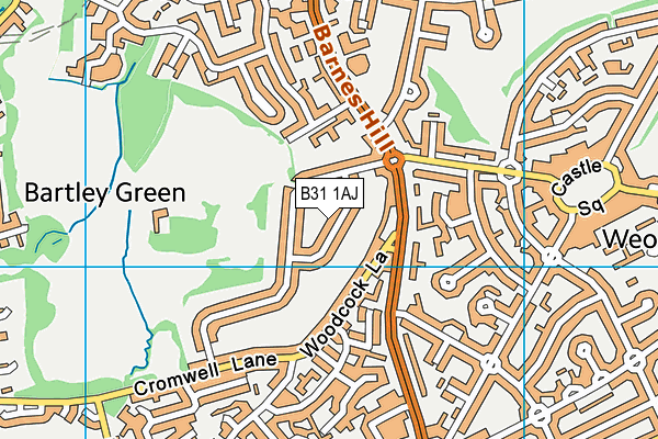 B31 1AJ map - OS VectorMap District (Ordnance Survey)