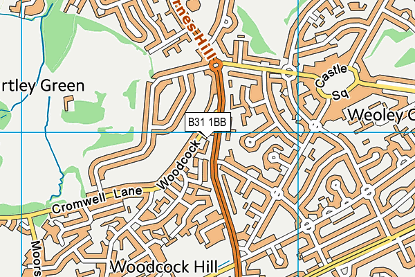 B31 1BB map - OS VectorMap District (Ordnance Survey)