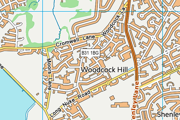 B31 1BG map - OS VectorMap District (Ordnance Survey)