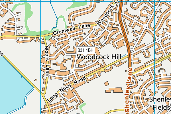 B31 1BH map - OS VectorMap District (Ordnance Survey)