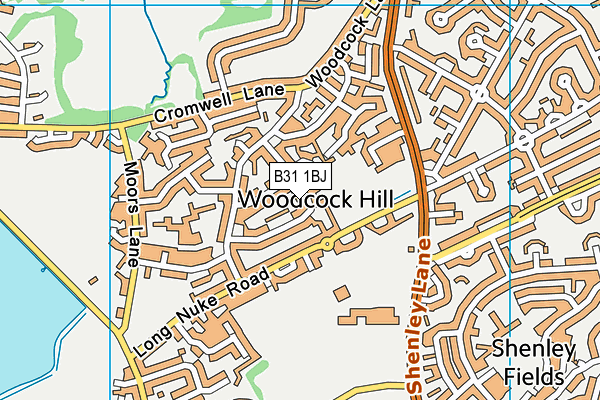 B31 1BJ map - OS VectorMap District (Ordnance Survey)