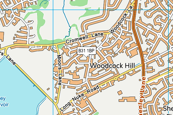 B31 1BP map - OS VectorMap District (Ordnance Survey)