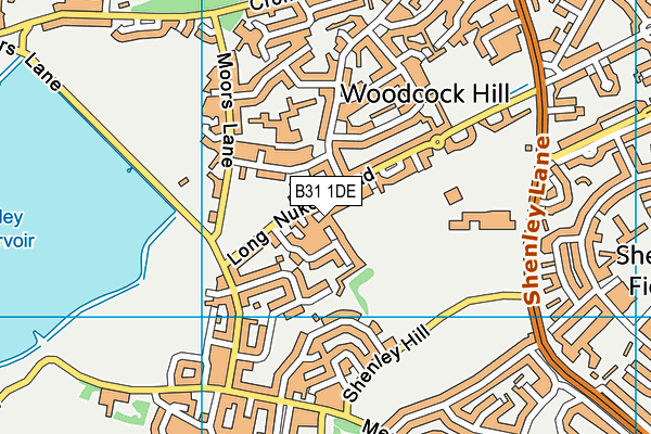 B31 1DE map - OS VectorMap District (Ordnance Survey)