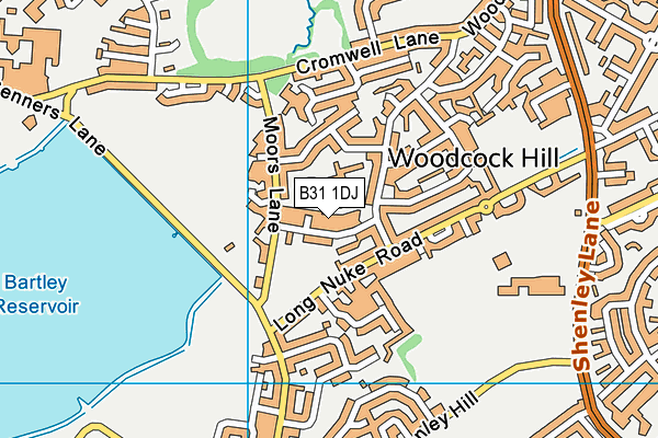 B31 1DJ map - OS VectorMap District (Ordnance Survey)