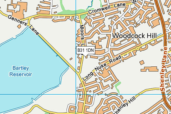 B31 1DN map - OS VectorMap District (Ordnance Survey)