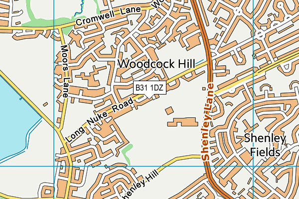 B31 1DZ map - OS VectorMap District (Ordnance Survey)