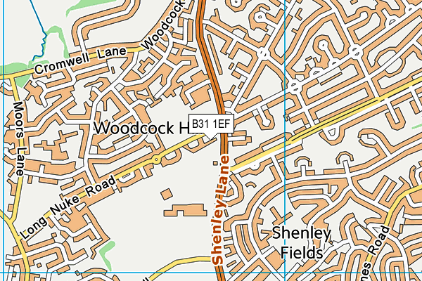 B31 1EF map - OS VectorMap District (Ordnance Survey)