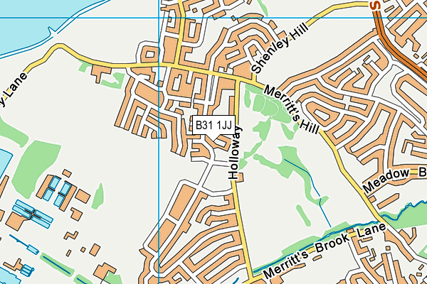 B31 1JJ map - OS VectorMap District (Ordnance Survey)