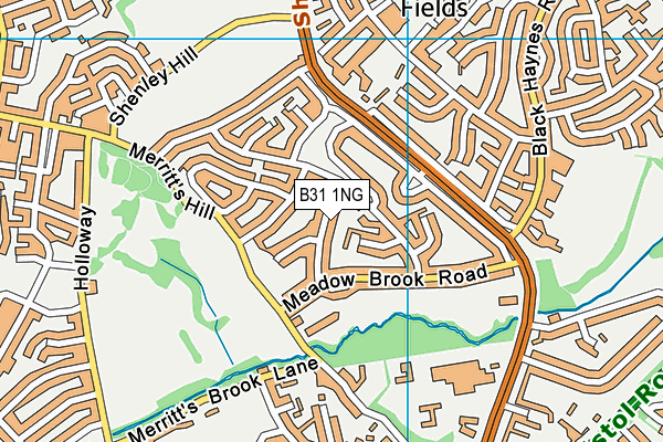 B31 1NG map - OS VectorMap District (Ordnance Survey)