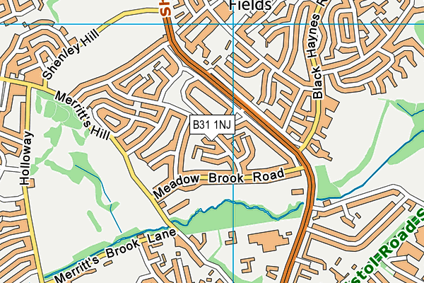 B31 1NJ map - OS VectorMap District (Ordnance Survey)