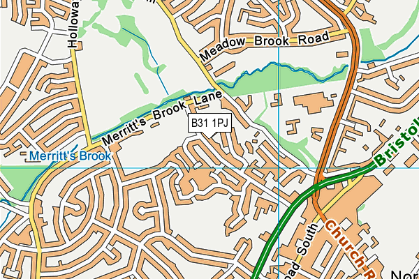 B31 1PJ map - OS VectorMap District (Ordnance Survey)