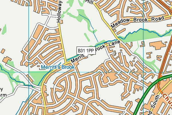 B31 1PP map - OS VectorMap District (Ordnance Survey)