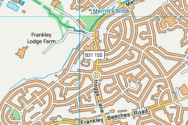 B31 1SS map - OS VectorMap District (Ordnance Survey)