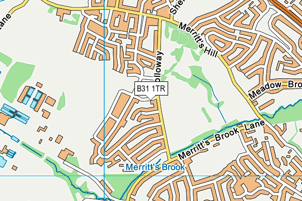 B31 1TR map - OS VectorMap District (Ordnance Survey)