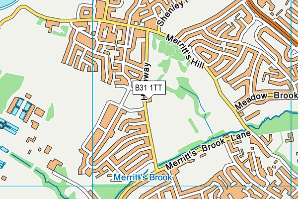 Ley Hill map (B31 1TT) - OS VectorMap District (Ordnance Survey)