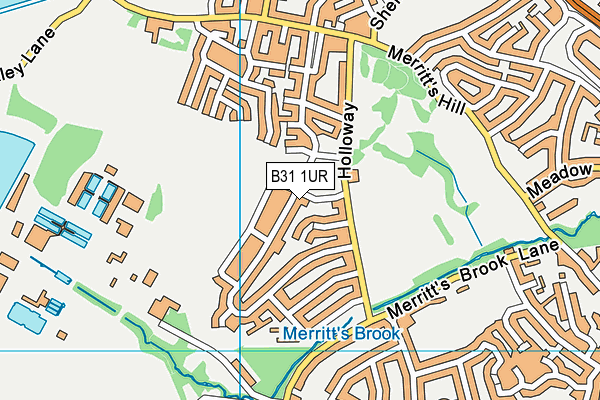 B31 1UR map - OS VectorMap District (Ordnance Survey)