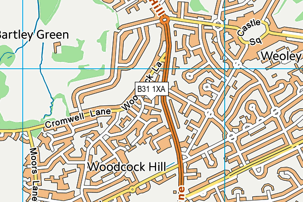 B31 1XA map - OS VectorMap District (Ordnance Survey)