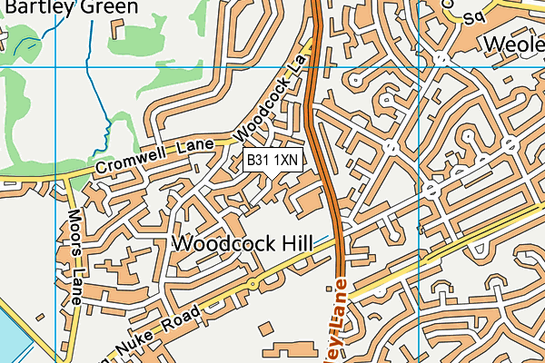 B31 1XN map - OS VectorMap District (Ordnance Survey)